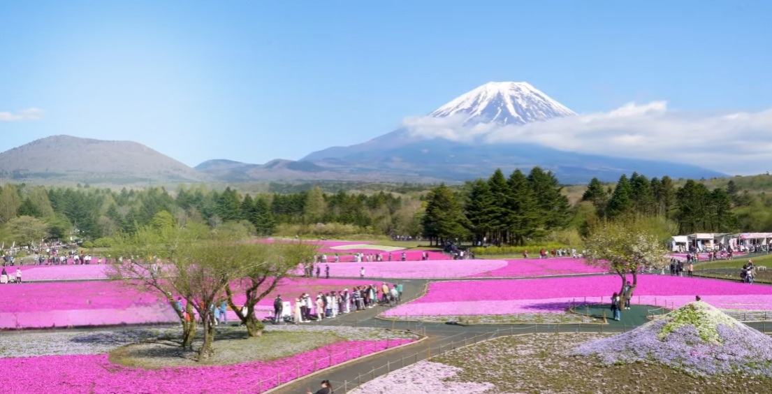 富士本栖湖リゾート