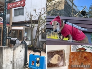 ドックカフェ＆グッズ『JACKGAIN』