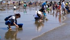 木更津海岸潮干狩り