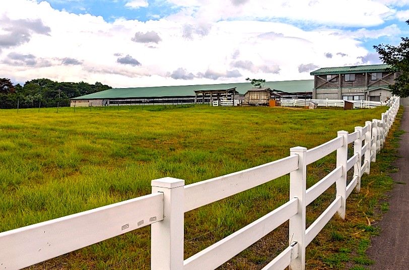 くろべ牧場まきばの風