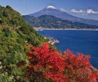 浮世絵さながら「東海道五十三次」さった峠展望台