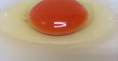 たまごやとよまる松尾店