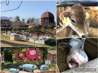 伊賀の里　モクモク手づくりファ-ム