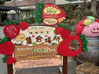 モクモクファーム　さちのかいちご摘み体験