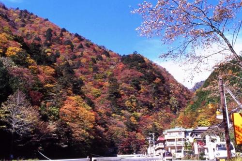 大自然の秘境の地　オクシズ