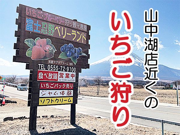 富士忍野ベリーランド