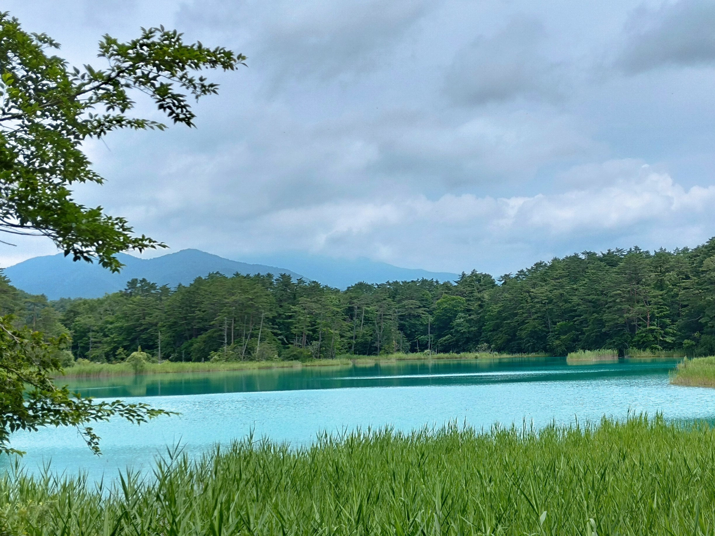 トレッキングコース人気No.1「五色沼自然探勝路」