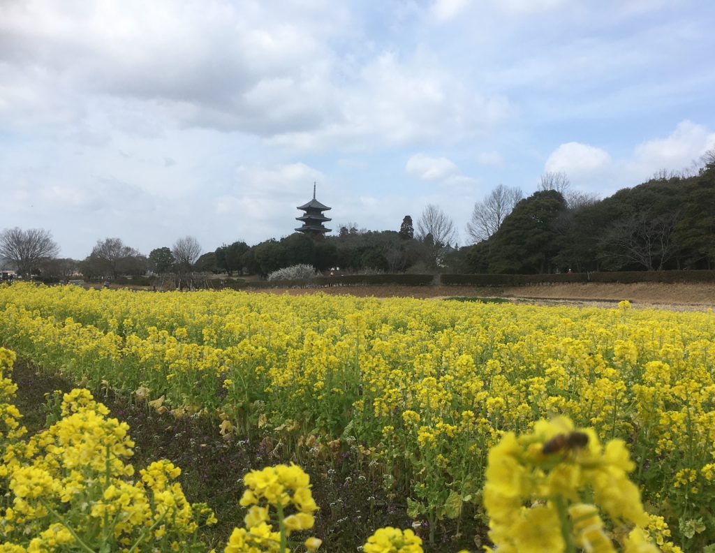 備中国分寺五重塔