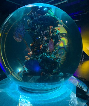 劇場型アクアリウム　アトア