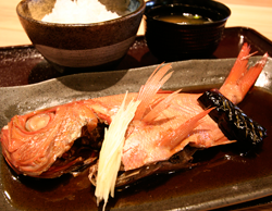 勝浦港市場食堂 勝喰(かっくらう)