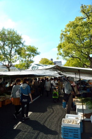 土佐の日曜市
