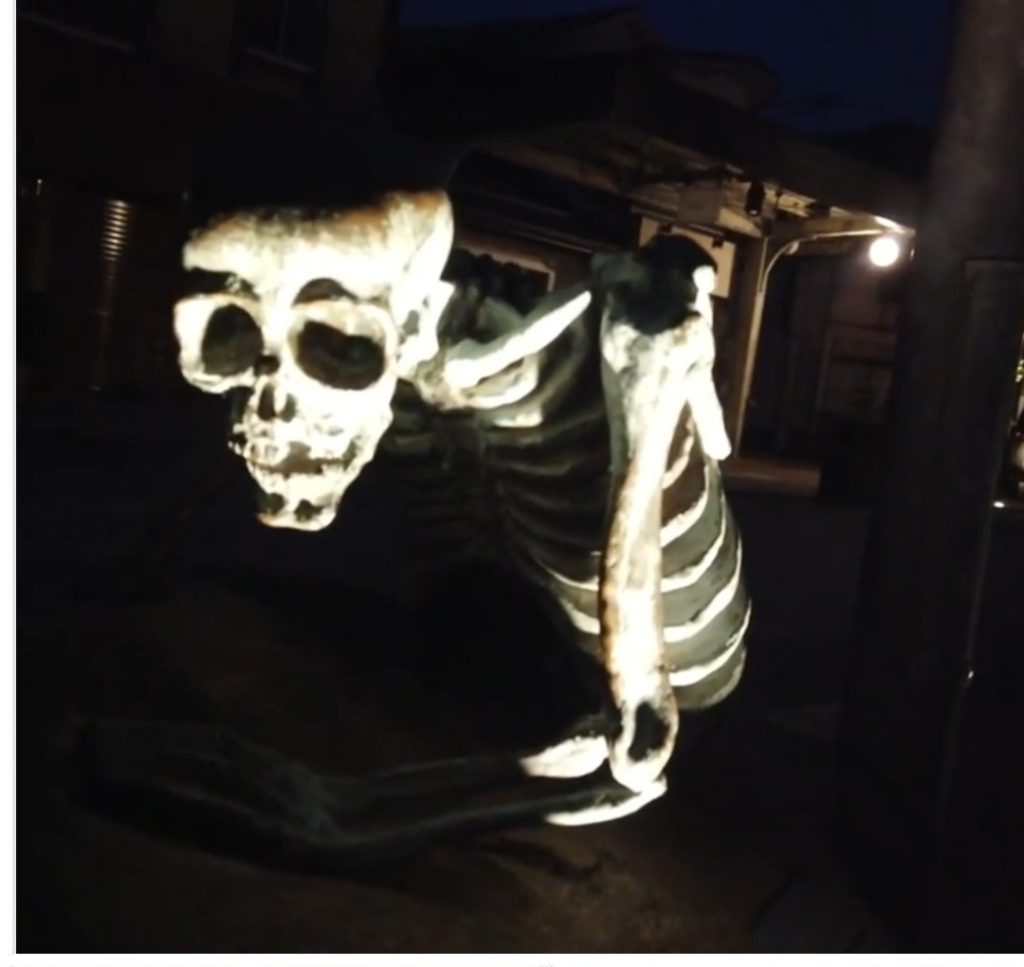 夜の水木しげるロード