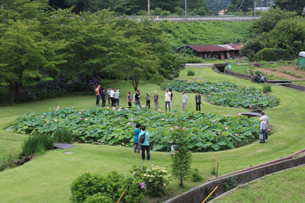 大賀ハス園