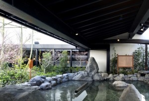 日帰り温泉 ｢東静岡　天然温泉柚木の郷｣