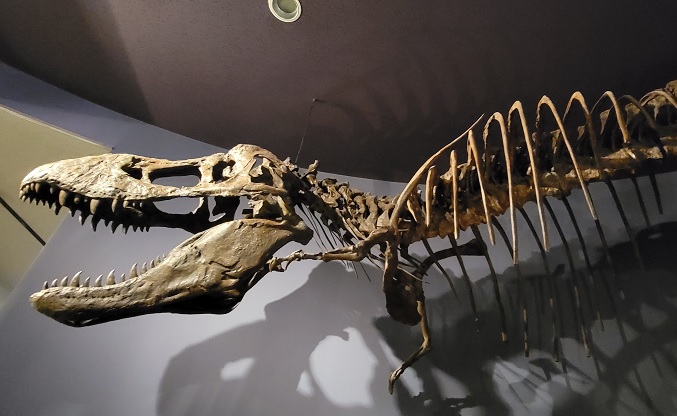 宮崎総合博物館