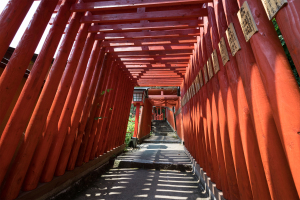 日本五大稲荷「太鼓谷稲成神社」