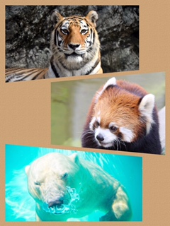 静岡市立日本平動物園