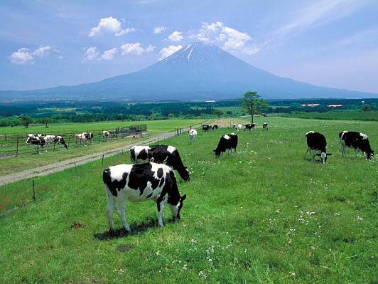 富士山の裾野に広がる朝霧高原