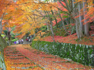湖東三山　百済寺