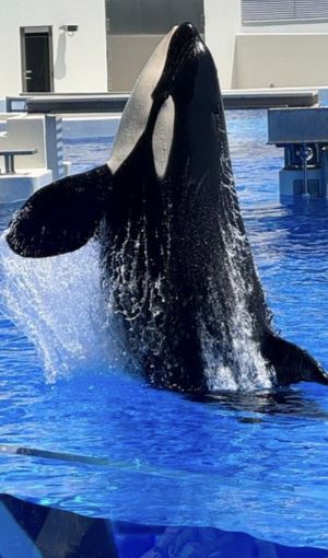 神戸須磨シーワールド