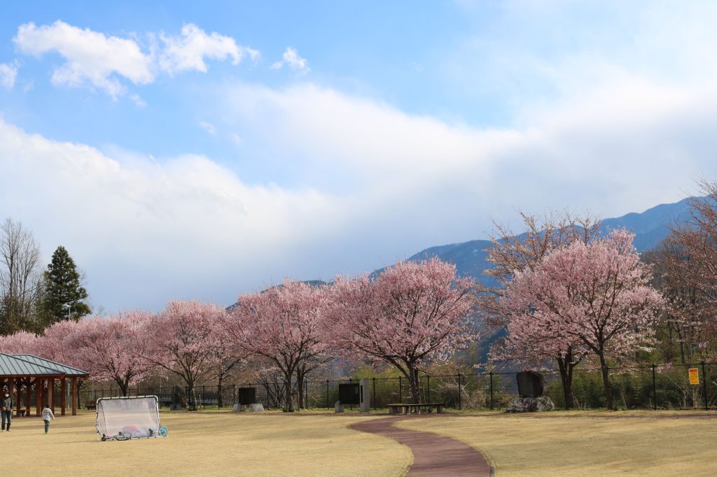 穴山さくら公園
