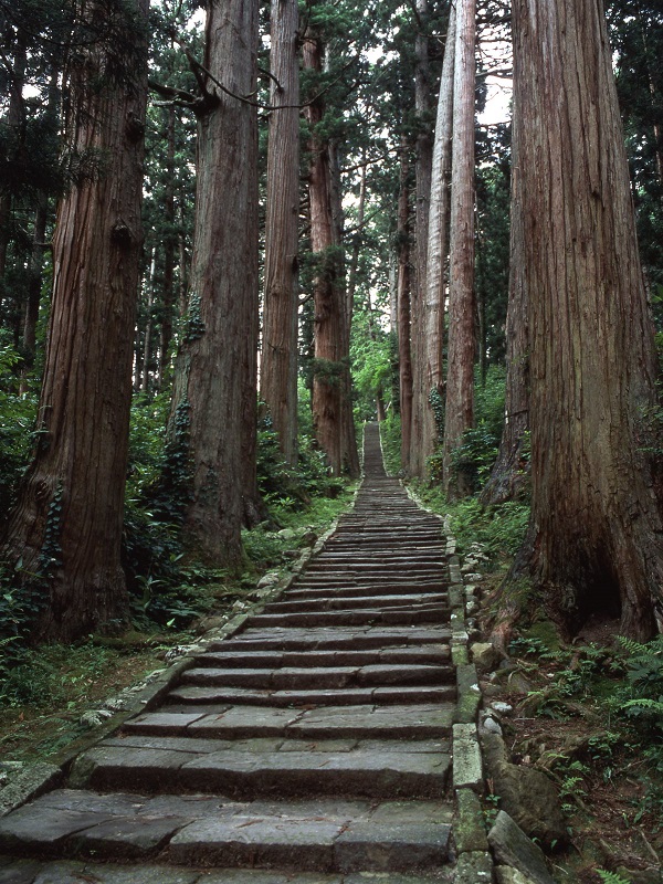 出羽三山神社　石段詣