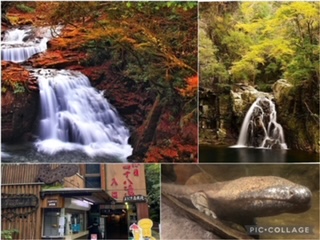 四季折々の美しさ『赤目四十八滝』