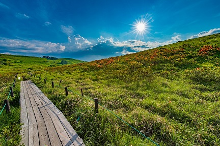 空中散歩が楽しめる「車山高原」