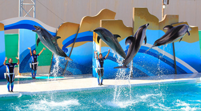 鴨川シーワールド